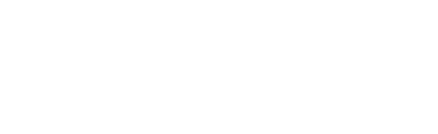 Frontity Community Forum