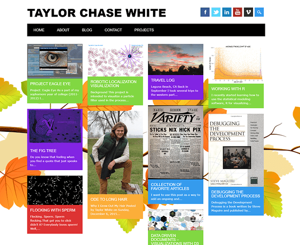 Taylor Chase White dot Com Old - 2