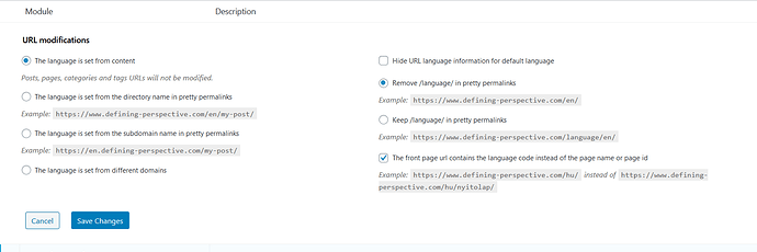 Screenshot_2020-09-08 Settings ‹ Defining Perspective — WordPress
