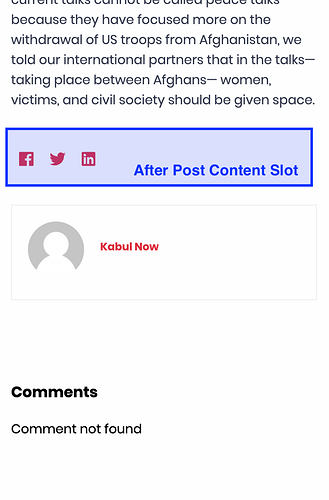 after-post-content-slot