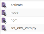 node_v_env_bin_files
